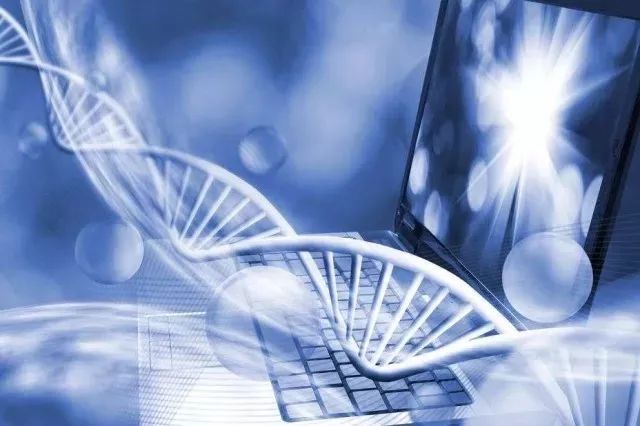 生物医学工程 技术开发的创新引擎