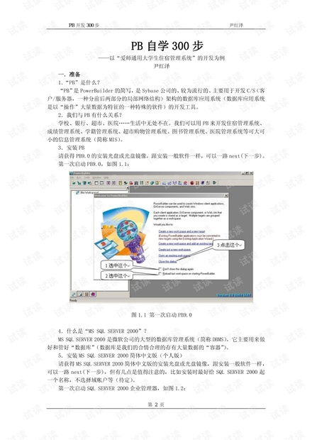 PB技术开发自学资源与CSDN文库指南